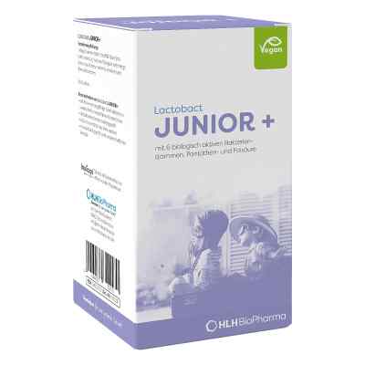 Lactobact Junior Pulver Monatskur 60 g von HLH BioPharma GmbH PZN 04652722