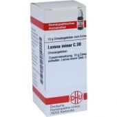 Lemna Minor C30 Globuli 10 g von DHU-Arzneimittel GmbH & Co. KG PZN 08479456