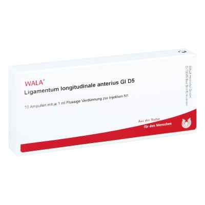 Ligamentum Longitud. Anter. Gl D5 Ampullen 10X1 ml von WALA Heilmittel GmbH PZN 02881559