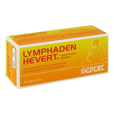 Lymphaden Hevert Lymphdrüsen Tabletten 40 stk von Hevert Arzneimittel GmbH & Co. K PZN 01213956
