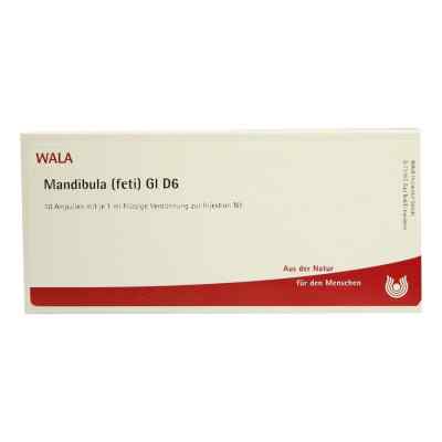 Mandibula Feti Gl D6 Ampullen 10X1 ml von WALA Heilmittel GmbH PZN 02934209