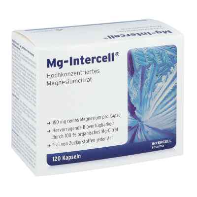 Mg Intercell Kapseln 120 stk von INTERCELL-Pharma GmbH PZN 01124655
