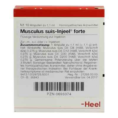 Musculus suis Injeel forte Ampullen 10 stk von Biologische Heilmittel Heel GmbH PZN 00693374