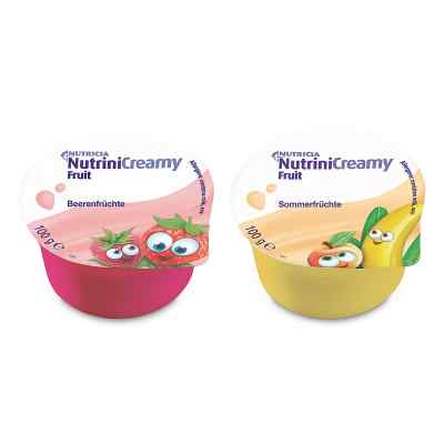Nutrini Creamy Fruit Mischkarton 32X100 g von Danone Deutschland GmbH PZN 11653544