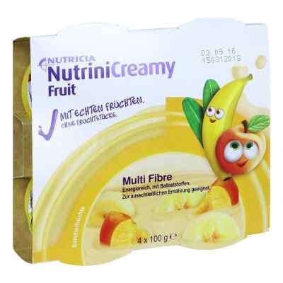 Nutrini Creamy Fruit Sommerfrüchte 4X100 g von Danone Deutschland GmbH PZN 10356057