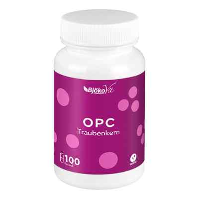 OPC Traubenkern vegan Kapseln 100 stk von Kolbe Nutrition GmbH PZN 12728379