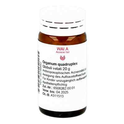 Organum Quadruplex Globuli 20 g von WALA Heilmittel GmbH PZN 08786862