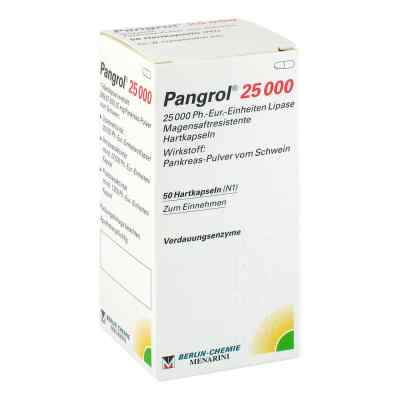 Pangrol 25000 50 stk von BERLIN-CHEMIE AG PZN 04810664