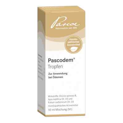 Pascodem Tropfen 50 ml von Pascoe pharmazeutische Präparate PZN 07503425