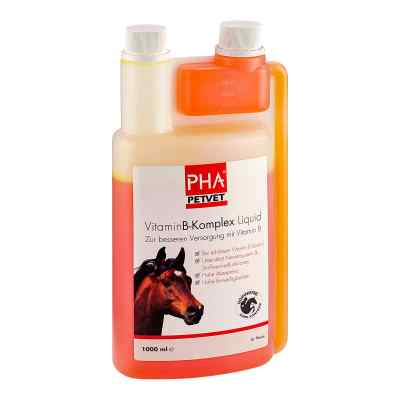Pha Vitamin B Komplex Liquid für Pferde 1000 ml von PetVet GmbH PZN 09670848