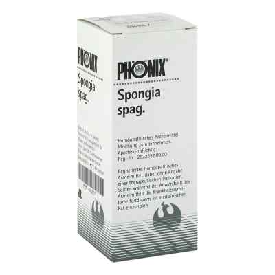 Phönix Spongia spag. Tropfen 100 ml von PHÖNIX LABORATORIUM GmbH PZN 04223777
