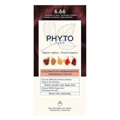 Phytocolor 6.66 Intensives Kirschrot Hellbraun 1 stk von Laboratoire Native Deutschland GmbH PZN 20109118