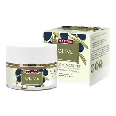 PLANTANA Olive Gesichtscreme mit Hyaluron + Vitamin E 50 ml von Hager Pharma GmbH PZN 18232159