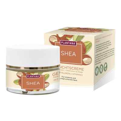 PLANTANA Shea Gesichtscreme mit Hyaluron + Vitamin E 50 ml von Hager Pharma GmbH PZN 18232047
