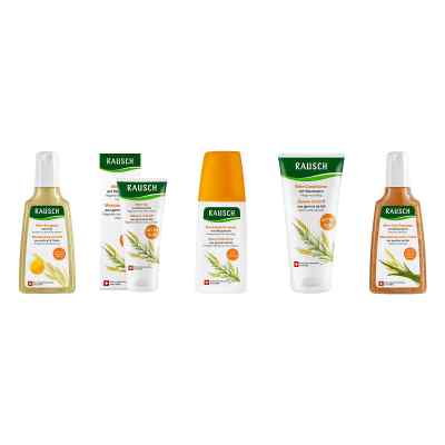 RAUSCH Nährende Haarpflege, Feuchtigk.spray + After Sun Shampoo 1 Set von RAUSCH (Deutschland) GmbH PZN 08105330