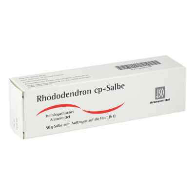 Rhododendron Cp. Salbe 50 g von ISO-Arzneimittel GmbH & Co. KG PZN 05957487