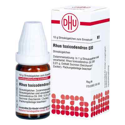 Rhus Tox. D30 Globuli 10 g von DHU-Arzneimittel GmbH & Co. KG PZN 02104873