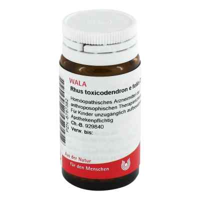 Rhus Tox. E Fol. D12 Globuli 20 g von WALA Heilmittel GmbH PZN 08787382