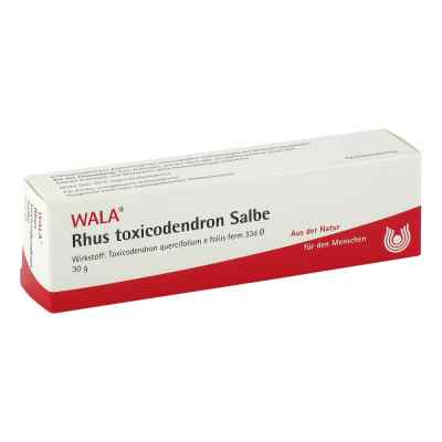 Rhus Tox. Salbe 30 g von WALA Heilmittel GmbH PZN 01451383