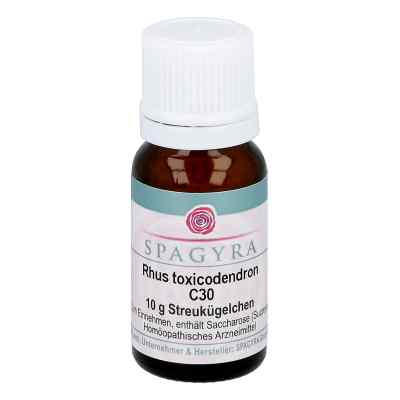 Rhus Toxicodendron C30 Globuli 10 g von Spagyra GmbH & Co KG PZN 11282711