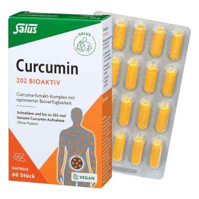 Salus Curcumin 202 Bioaktiv Kapseln 60 stk von SALUS Pharma GmbH PZN 19292554
