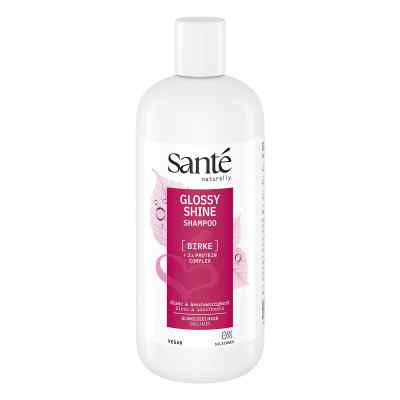 Sante Glossy Shine Shampoo 500 ml von LOGOCOS Naturkosmetik GmbH & Co. KG PZN 19419523