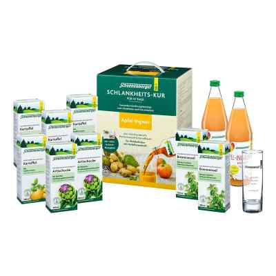 Schoenenberger® Schlankheits-Kur Apfel-Ingwer Bio 1 Pck von SALUS Pharma GmbH PZN 19398413