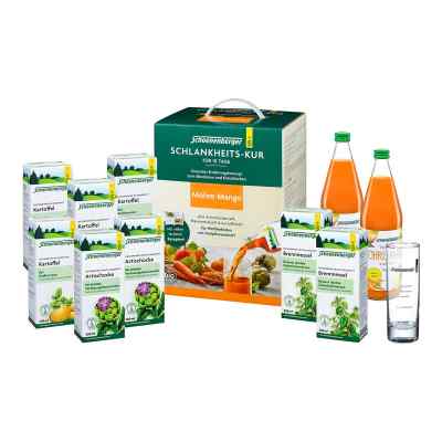 Schoenenberger Schlankheitskur Möhre-Mango Bio 1 Pck von SALUS Pharma GmbH PZN 19398436