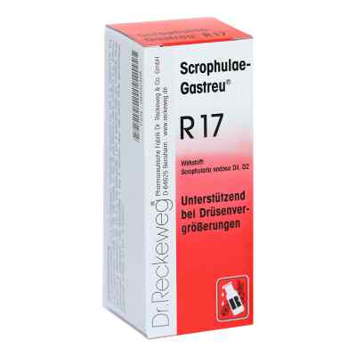 Scrophulae Gastreu R 17 Tropfen zum Einnehmen 50 ml von Dr.RECKEWEG & Co. GmbH PZN 08492468