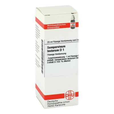 Sempervivum Tectorum D1 Dilution 20 ml von DHU-Arzneimittel GmbH & Co. KG PZN 07459753