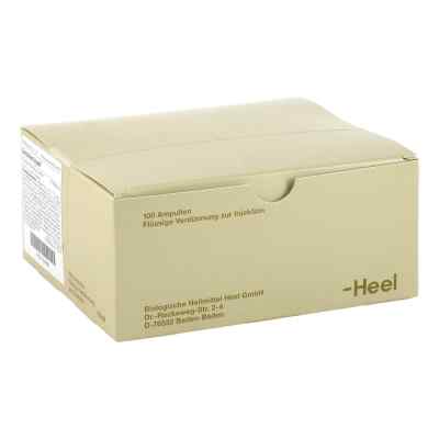 Serotonin Injeel Ampullen 100 stk von Biologische Heilmittel Heel GmbH PZN 01814466