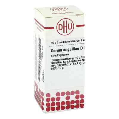 Serum Anguillae D12 Globuli 10 g von DHU-Arzneimittel GmbH & Co. KG PZN 04236863
