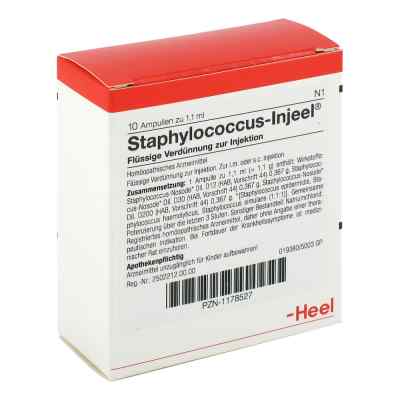 Staphylococcus Injeel Ampullen 10 stk von Biologische Heilmittel Heel GmbH PZN 01178527
