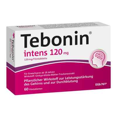 Tebonin intens 120mg 60 stk von Dr.Willmar Schwabe GmbH & Co.KG PZN 07682356