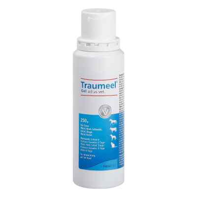 Traumeel Gel ad us. vet. 1X250 g von Biologische Heilmittel Heel GmbH PZN 11013454