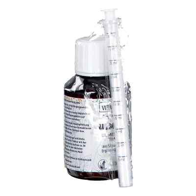 Ulmenrinden Tinktur Seb M.spritze F.hunde U.katzen 100 ml von Vita Natura GmbH & Co. KG PZN 18456137