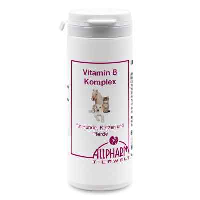 Vitamin B Komplex Kapseln für Hunde 100 stk von ALLPHARM Vertriebs GmbH PZN 13851981