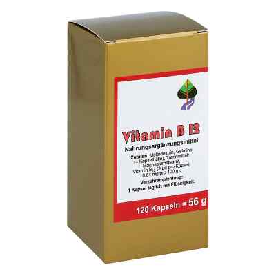Vitamin B12 Kapseln 120 stk von FBK-Pharma GmbH PZN 00876838
