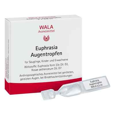 Wala Euphrasia Augentropfen 5X0.5 ml von WALA Heilmittel GmbH PZN 01448174